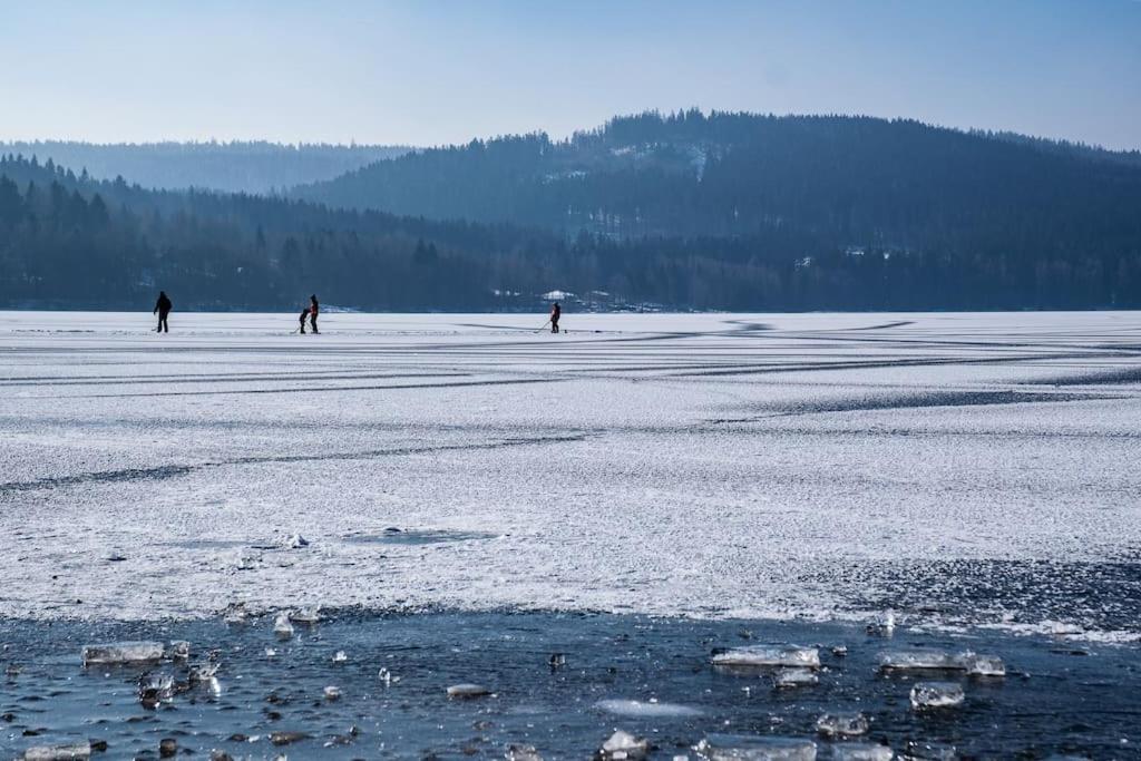 Private Cozy And Quiet Apartment Lipno nad Vltavou Bagian luar foto
